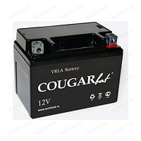 Cougar 12V 3Ah YT4L-BS